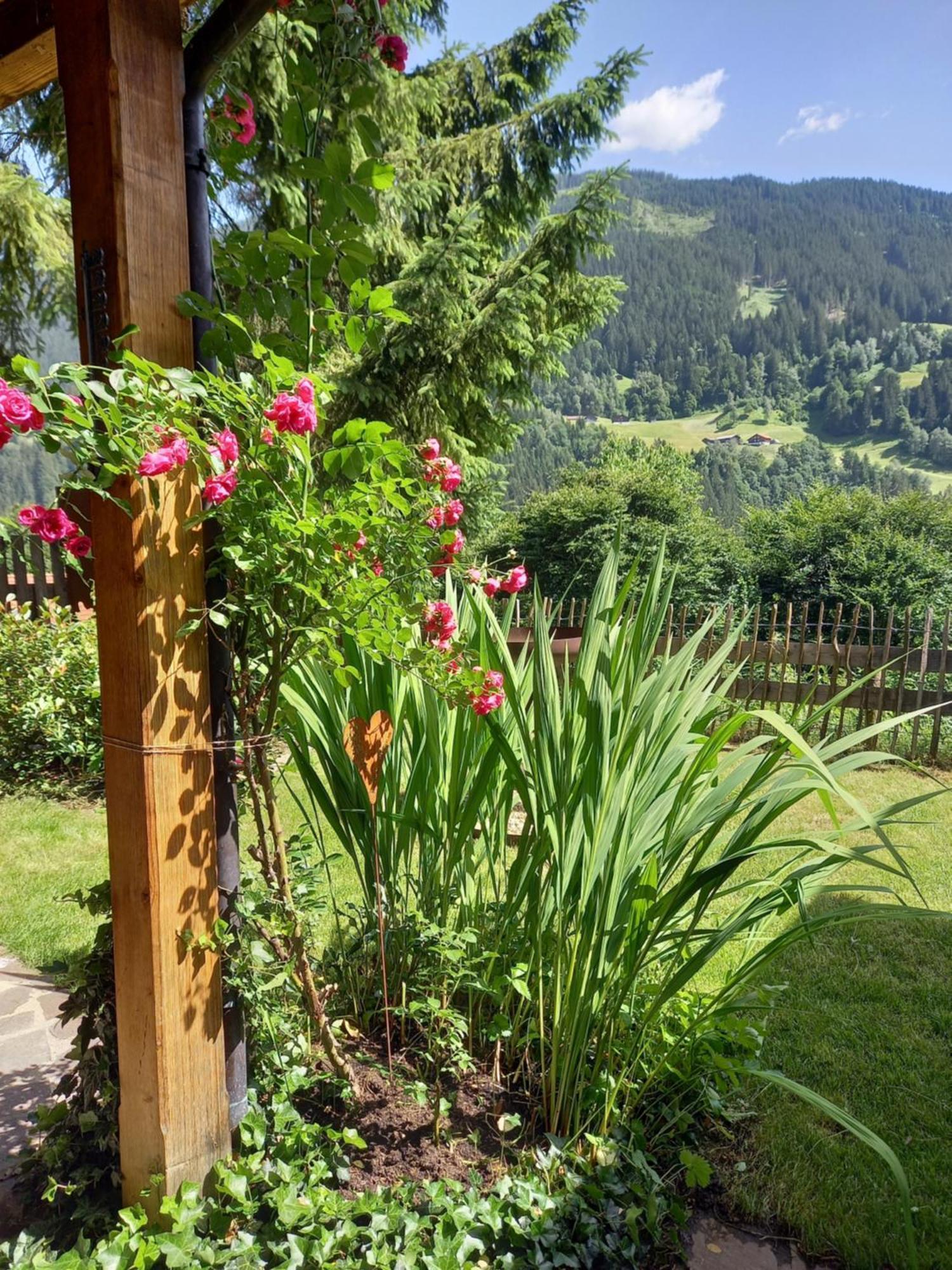 Aparthaus Am Walde & Appartement Sonnenseite Bartholomäberg Exteriér fotografie